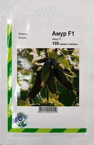 Огірок "Амур F1" ТМ "Nunhems" 100шт