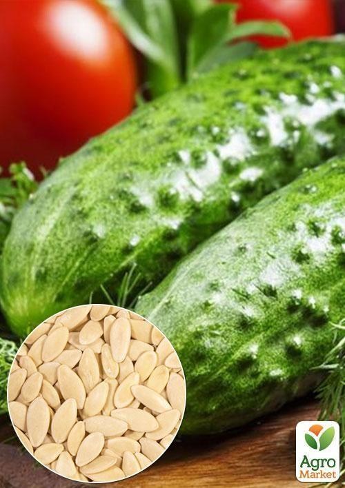 На развес Огурец "Засолочный" ТМ "Весна" цена за 2г