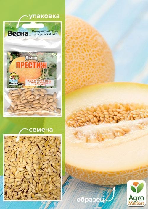 Дыня "Престиж" (Зипер) ТМ "Весна" 4г