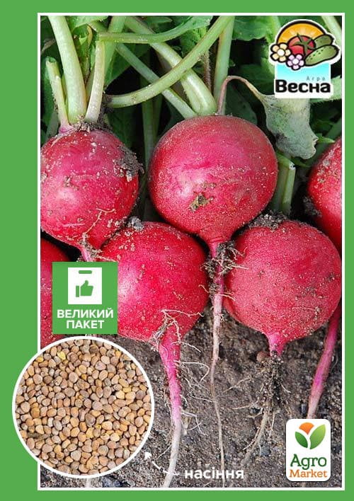 Редис "Сакса" (Большой пакет) ТМ "Весна" 6г