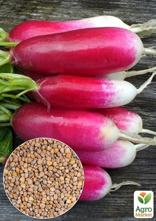 На развес Редис "Мила" ТМ "Весна" цена за 10г