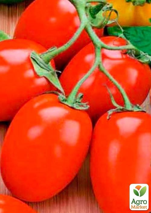 Томат детермінантний «Ріо Фуэго» ТМ «Lark Seeds» 500г