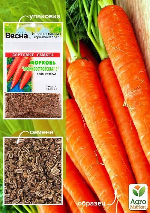 Морковь "Лосиноостровская 13" (Зипер) ТМ "Весна" 5г