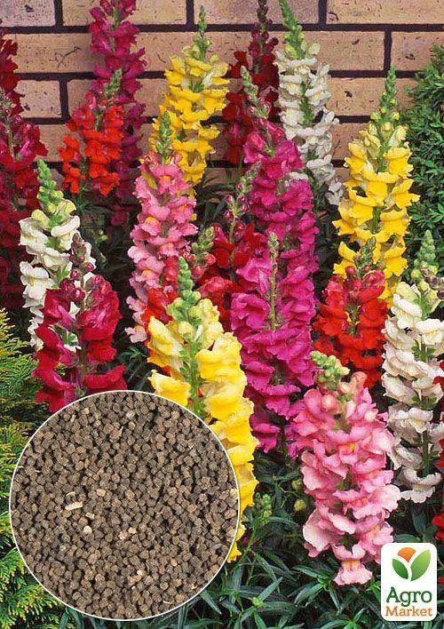 На развес Львиный зев смесь ТМ "Весна" цена за 1г