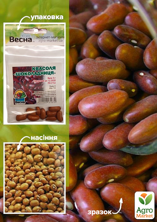 Фасоль "Шоколадница" (Зипер) ТМ "Весна" 5г
