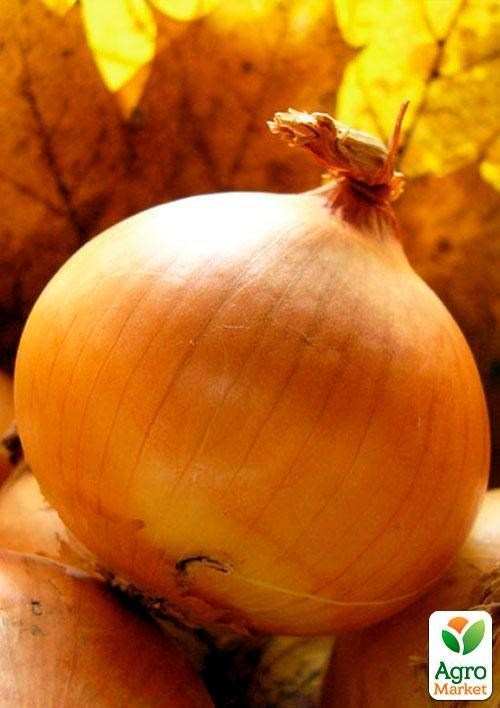 Цибуля "Луганська" (Зипер) ТМ "Весна" 3г - фото 3