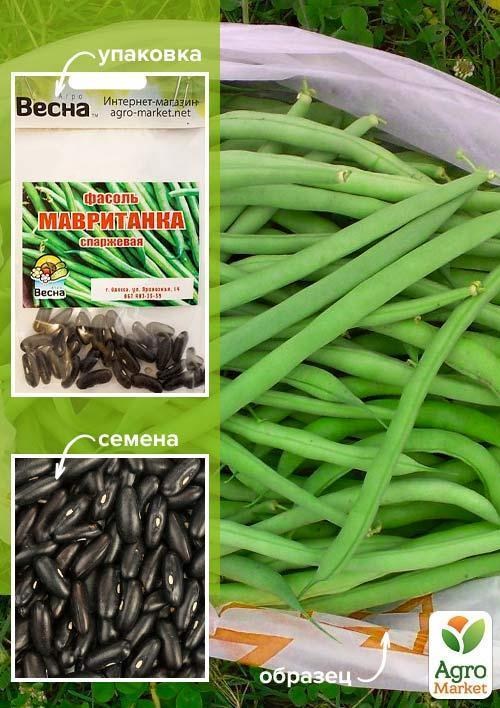 Фасоль спаржевая "Мавританка" (Зипер) ТМ "Весна" 7г