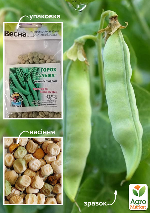 Горох "Альфа" (Зипер) ТМ "Весна" 30г