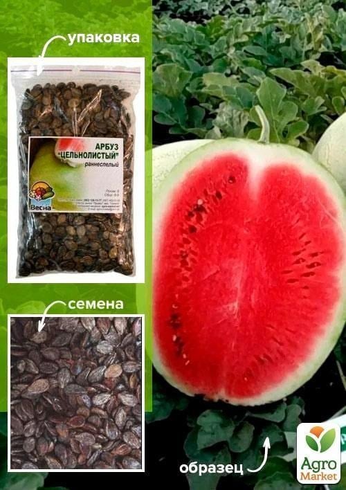 Арбуз "Цельнолистый" ТМ "Весна" 100г