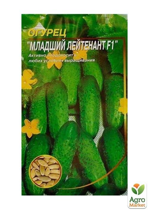 Огурец "Младший лейтенант F1" ТМ "Весна" 0.25г - фото 2