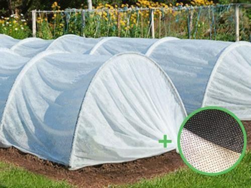 Парник "Пролісок" 8м