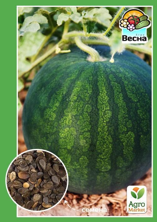 Арбуз "Фотон" ТМ "Весна" 1.5г