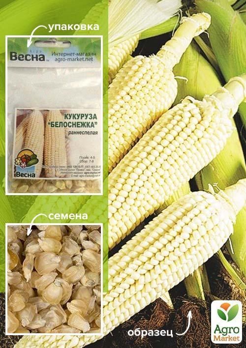 Кукурудза "Білосніжка" (Зипер) ТМ "Весна" 20г