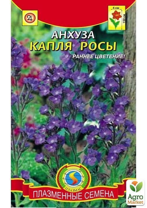 Анхуза "Крапля роси" ТМ "Плазмові насіння" 5шт