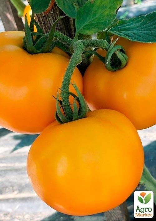 Томат индетерминантный "Еллоу Болл F1" ТМ "Lark Seeds" 250шт