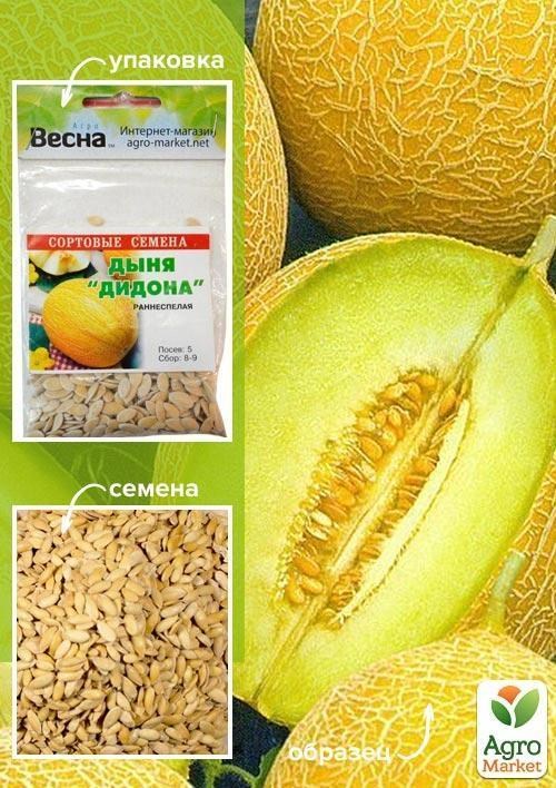 Дыня "Дидона" (Зипер) ТМ "Весна" 4г