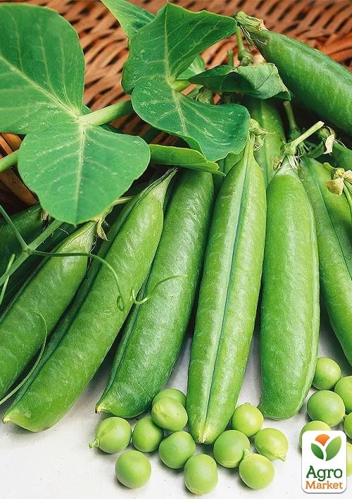 Горох "Наследие" ТМ "Весна" 100г - фото 2