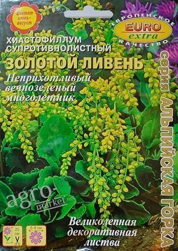 Хиастофиллум супротивнолистный "Золотой ливень" ТМ "Аэлита" 5шт
