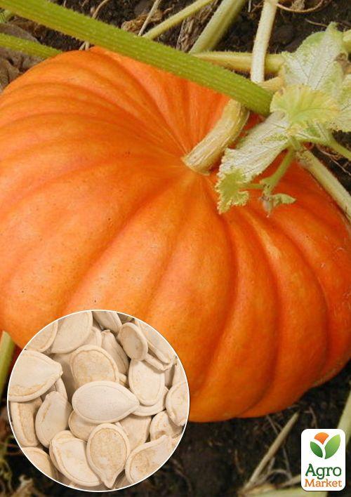 На вагу Гарбуз "Народний" ТМ "Весна" ціна за 10г