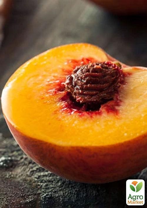 Персик "Вулкан" (літній сорт, середній термін дозрівання) - фото 3