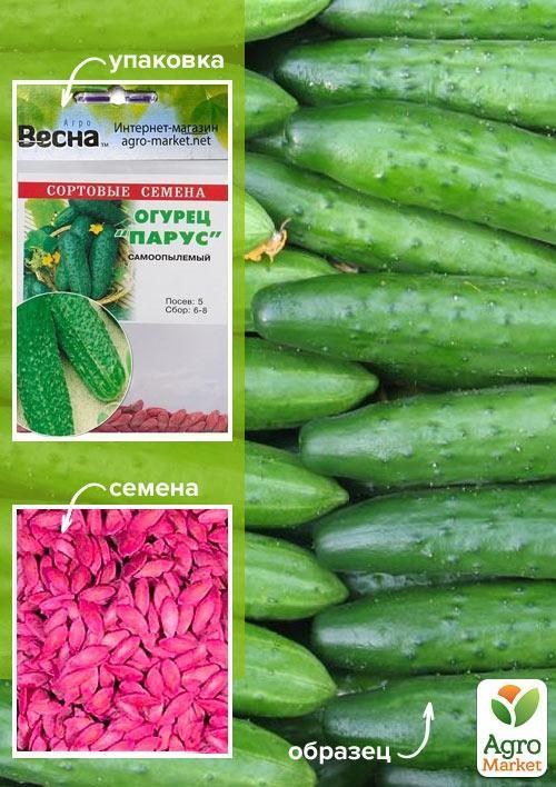 Огірок оброблений "Парус" (Зипер) ТМ "Весна" 0.5г