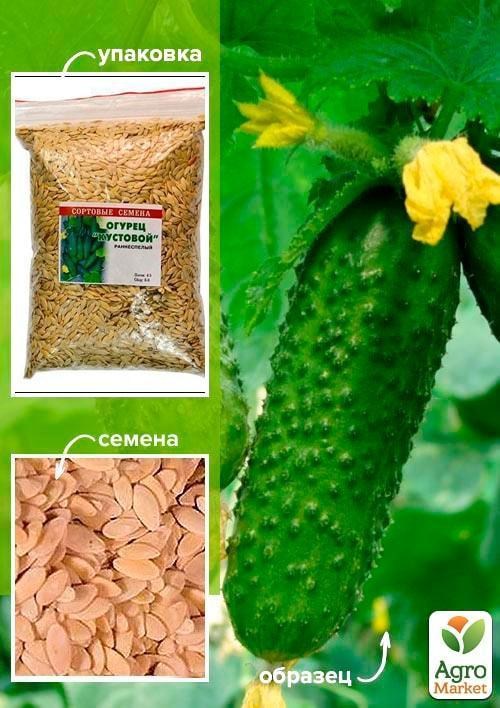 Огірок "Кущовий" ТМ "Весна" 500г