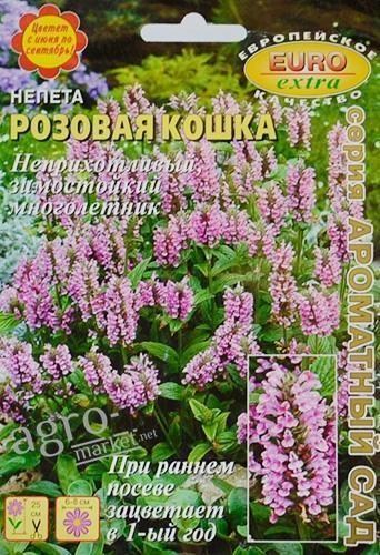 Непета "Рожева кішка" ТМ "Аеліта" 5шт