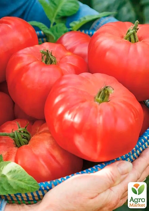 На развес Томат "Мастер" ТМ "Весна" цена за 1г - фото 2