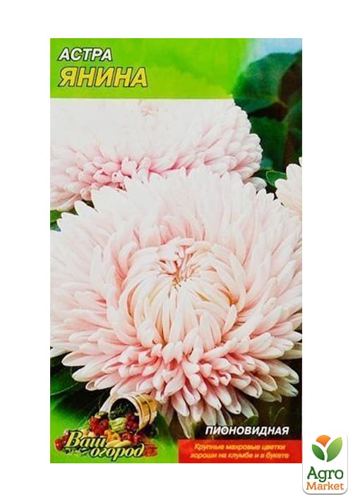 Астра "Яніна" ТМ "Весна" 0.2г - фото 2