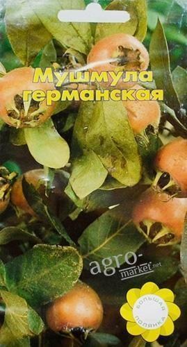 Мушмула німецька ТМ "Велика галявина" 3шт