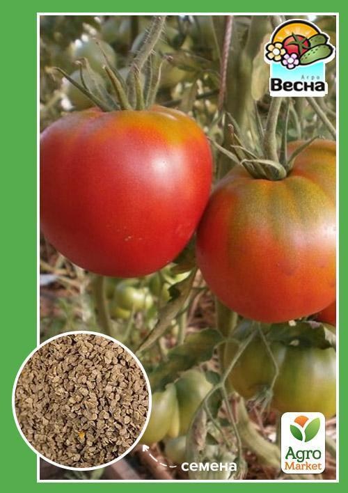 Томат "Космонавт Волков" ТМ "Весна" 0.1г