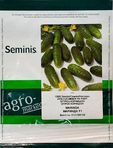 Огурец "Маринда F1" ТМ "Seminis" 1000шт