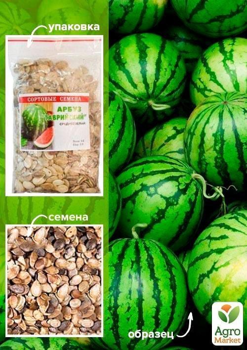 Арбуз "Таврийский" ТМ "Весна" 100г