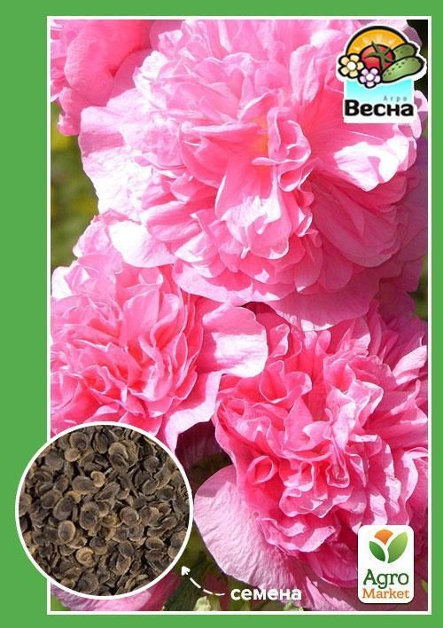 Мальва махрова Рожева ТМ "Весна" 0.2г