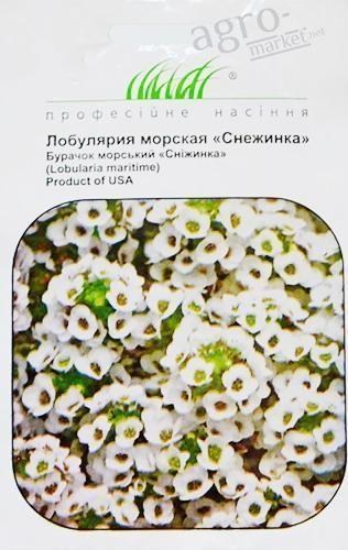 Лобулярія морська "Сніжинка" ТМ "Hem Zaden" 20шт