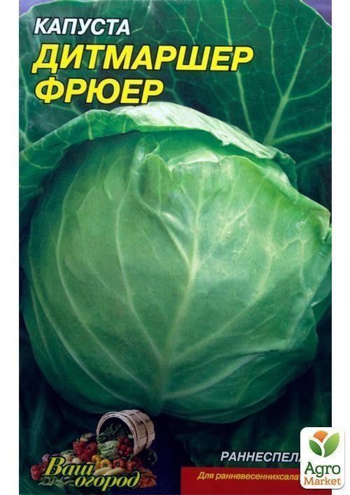 Капуста "Дітмаршер Фрюєр" (Великий пакет) ТМ "Весна" 3г - фото 2