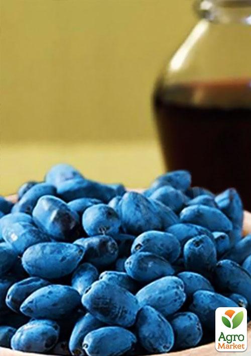 Жимолость "Дуэт" (ранний срок созревания, зимостойкий сорт) - фото 7