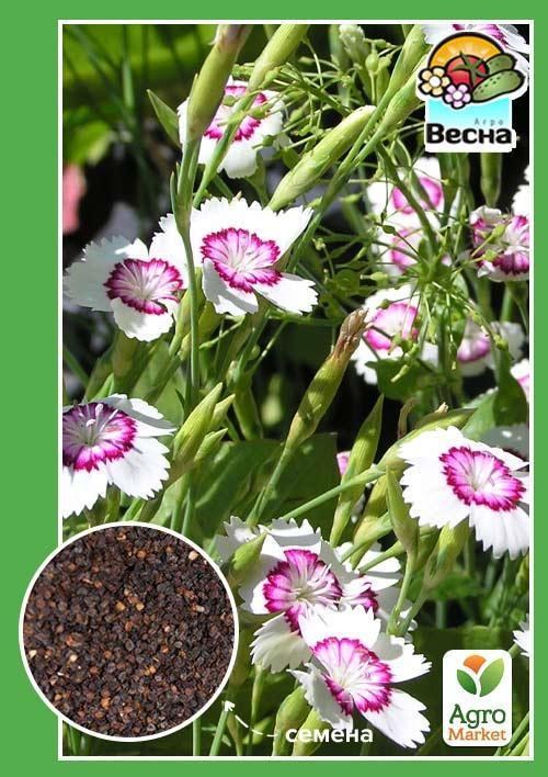 Гвоздика периста "Травянка" ТМ "Весна" 0.3г