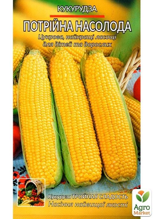 Кукурудза "Потрійне задоволення" (Великий пакет) ТМ "Весна" 15г - фото 2