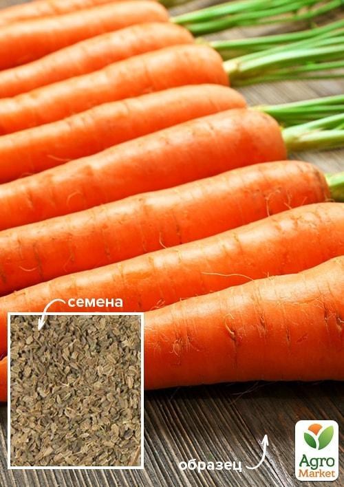 Морква "Берлікум" ТМ "Весна" 100г