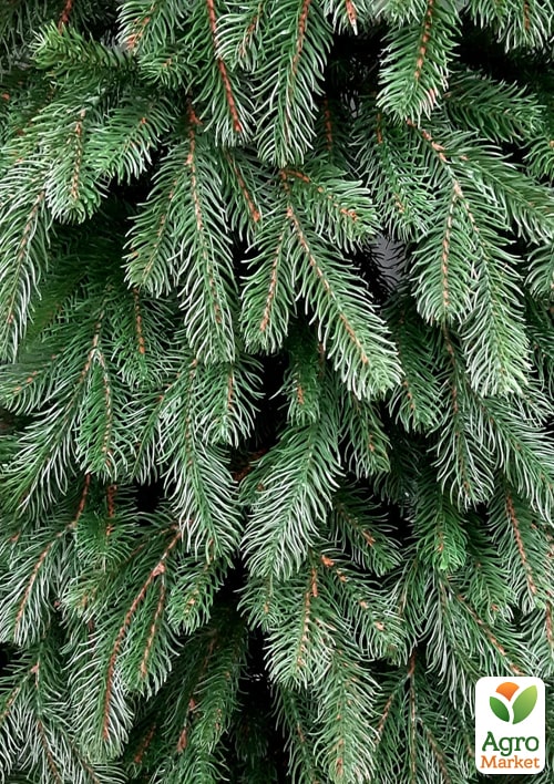 Новогодняя елка искусственная "Альпийская" высота 150см (пышная, зеленая) Праздничная красавица! - фото 3