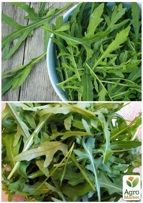 На развес Салат "Руккола" ТМ "Весна" цена за 10г - фото 3