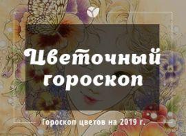 Цветочный гороскоп на 2019 год