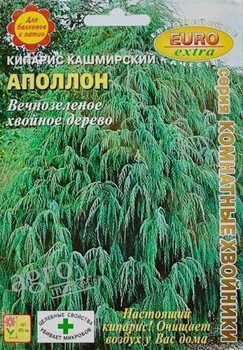 Кипарис кашмірський "Аполлон" ТМ "Аеліта" 0.1г
