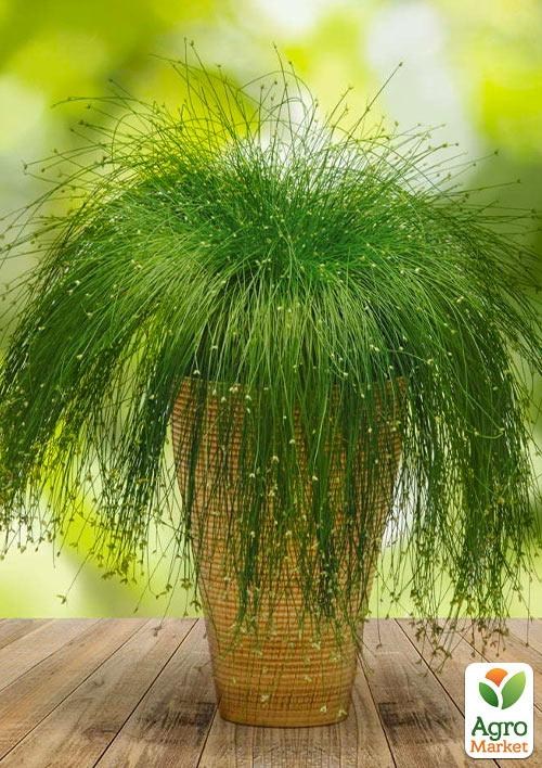 Изолепис "Live Wire" - фото 3