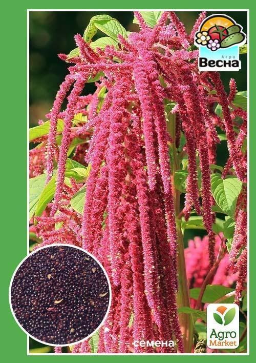 Амарант ТМ "Весна" 0.2г