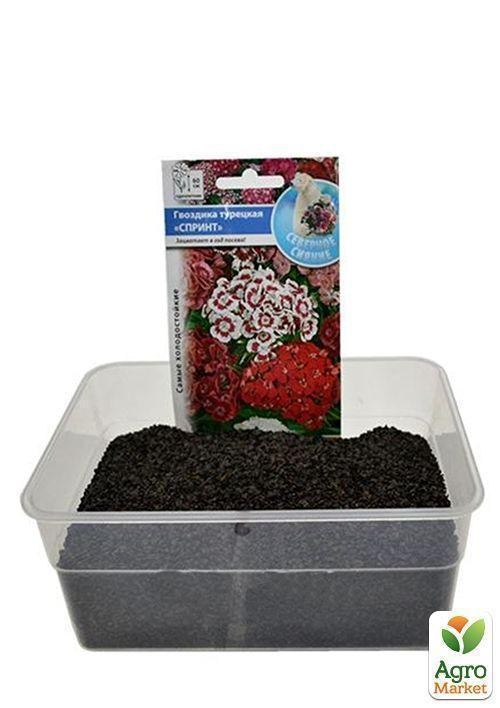 На развес Гвоздика турецкая смесь ТМ "Весна" цена за 1,5г - фото 3