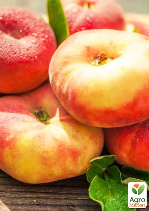 Инжирный персик "Никитский" (летний сорт, поздний срок созревания)