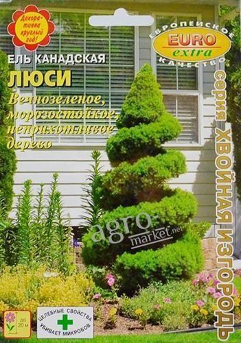 Ель канадская "Люси" ТМ "Аэлита" 0.05г