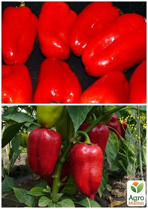 На вагу Перець "Мерседес" ТМ "Весна" ціна за 1г - фото 3